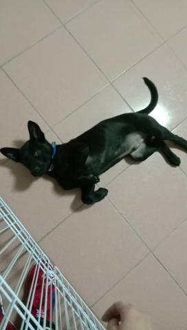 薇兒 - 露肚肚的happy