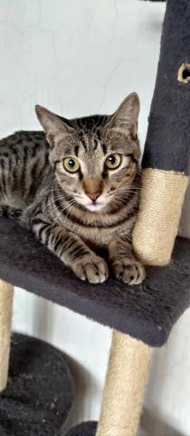 薇兒 - 胖嘟嘟的跳跳