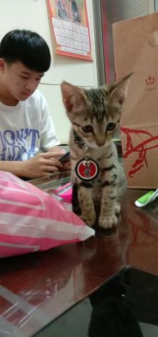 薇兒 - 樂寶寶犯下太可愛之罪