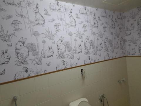 漢氏壁紙工程 - 