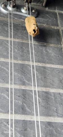 你為什麼不問問神奇海螺呢 - 新竹市，社區：金雅昕觀邸，施工前