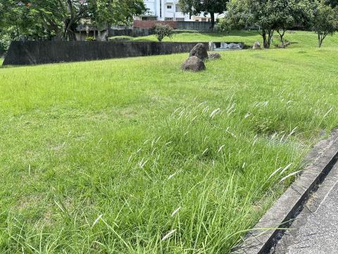 瑋羽園藝工坊 - 113/7/2
公園割草（前）