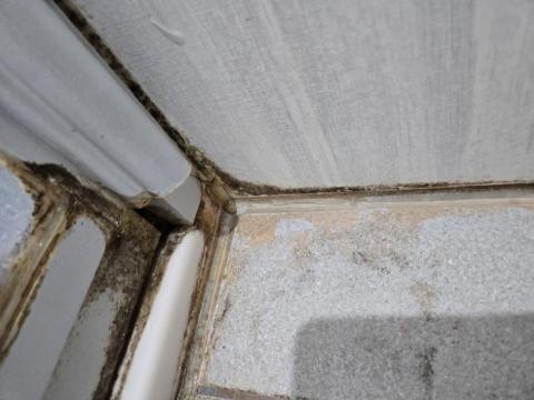 汶鴻清潔工程 - 矽麗康除霉