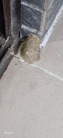 你為什麼不問問神奇海螺呢 - 新竹市，社區：金雅昕觀邸，施工前