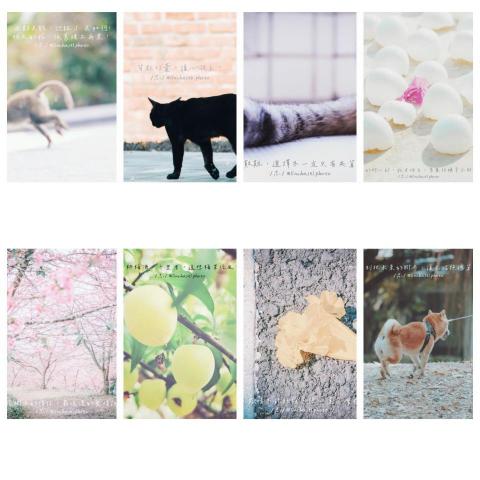 Chasel Lin - 圖文創作2