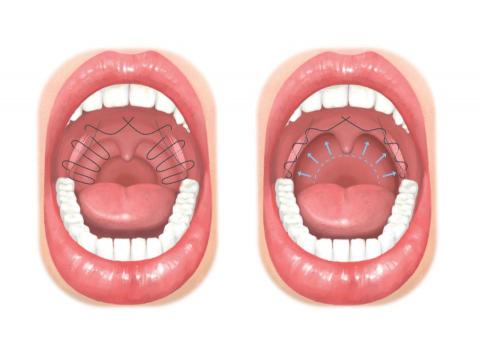 Redd's Studio - 醫療插圖