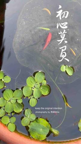 周葳Mina - 書法：「初心莫負」數位創作攝影：周葳Mina