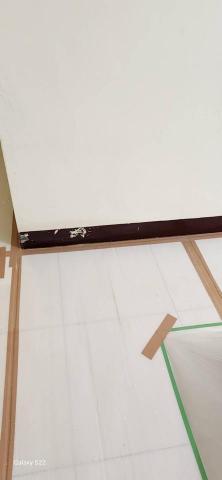 你為什麼不問問神奇海螺呢 - 新竹縣新豐鄉，社區：理想國，防護+除膠+壁癌上防水漆+批土