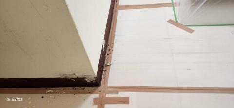 你為什麼不問問神奇海螺呢 - 新竹縣新豐鄉，社區：理想國，防護+除膠+壁癌上防水漆