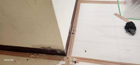 你為什麼不問問神奇海螺呢 - 新竹縣新豐鄉，社區：理想國，防護+除膠+壁癌上防水漆