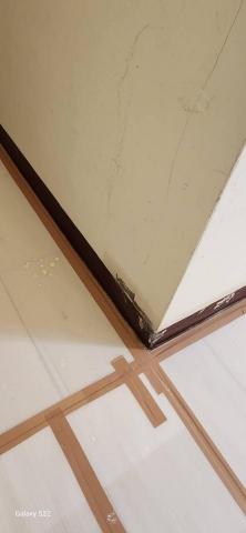 你為什麼不問問神奇海螺呢 - 新竹縣新豐鄉，社區：理想國，防護+除膠+壁癌上防水漆+批土