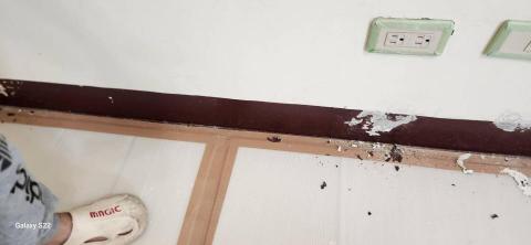 你為什麼不問問神奇海螺呢 - 新竹縣新豐鄉，社區：理想國，防護+除膠+壁癌上防水漆