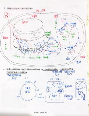 魏君庭 - 高中講義筆記
