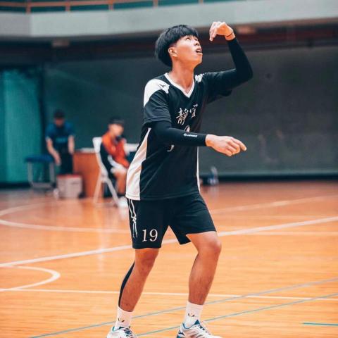 提供排球服務的專家小小排球營