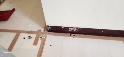 你為什麼不問問神奇海螺呢 - 新竹縣新豐鄉，社區：理想國，防護+除膠+壁癌上防水漆