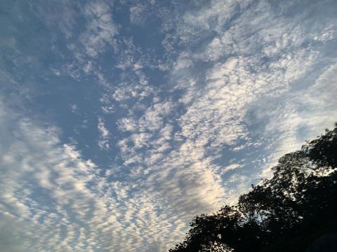 YK - 路上隨手亂拍