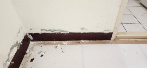 你為什麼不問問神奇海螺呢 - 新竹縣新豐鄉，社區：理想國，防護+除膠+壁癌上防水漆