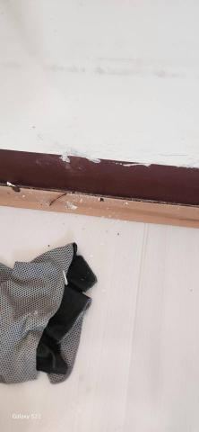 你為什麼不問問神奇海螺呢 - 新竹縣新豐鄉，社區：理想國，防護+除膠+壁癌上防水漆