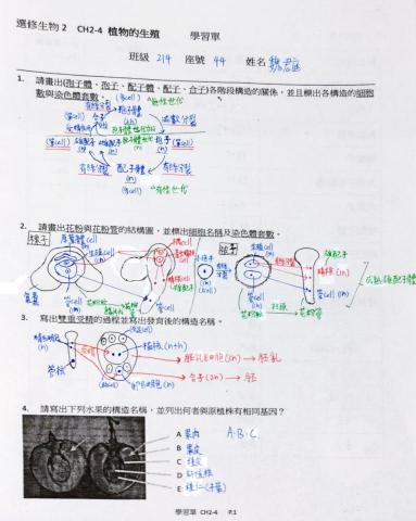 魏君庭 - 高中講義筆記