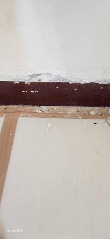 你為什麼不問問神奇海螺呢 - 新竹縣新豐鄉，社區：理想國，防護+除膠+壁癌上防水漆