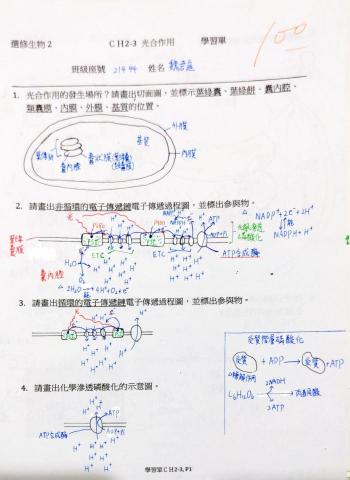 魏君庭 - 高中講義筆記