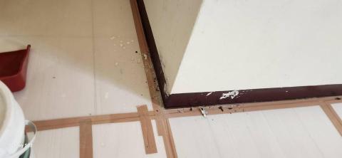 你為什麼不問問神奇海螺呢 - 新竹縣新豐鄉，社區：理想國，防護+除膠+壁癌上防水漆