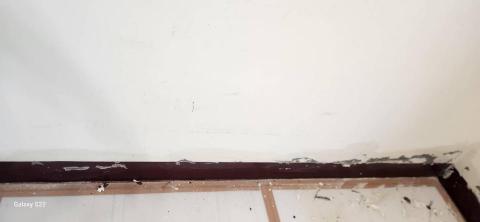 你為什麼不問問神奇海螺呢 - 新竹縣新豐鄉，社區：理想國，防護+除膠+壁癌上防水漆