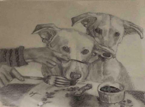 Chewy（英文翻譯/素描自由接案） - 動物素描