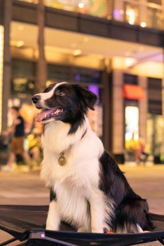 Naomi Photography - 街頭攝影