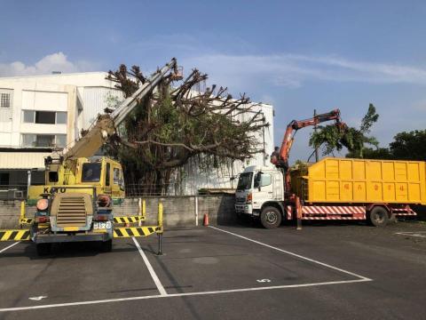 月有鑫國際有限公司 - 