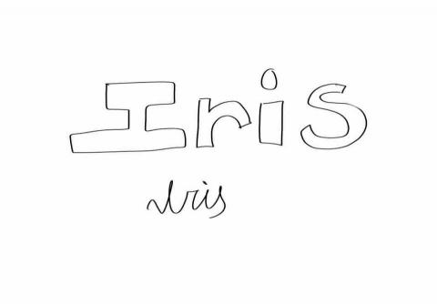 提供寫文章服務的專家Iris Lin