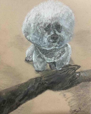 Chewy（英文翻譯/素描自由接案） - 動物素描