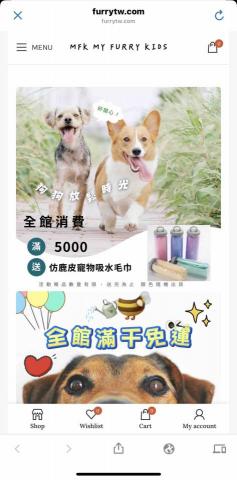 Sofifi - 網站外觀