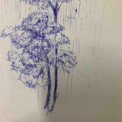 莊淯晴 - 原子筆速寫