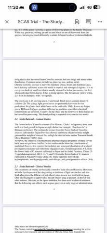 Ivan 英文翻譯服務 - 