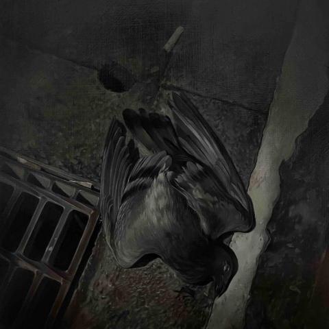 黃楷揚 - 作品《向性》2024,油畫，40x40cm