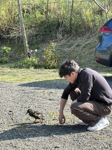 提供新竹到府美甲服務的專家黃梓銨