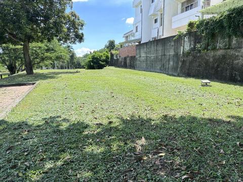 瑋羽園藝工坊 - 113/7/5
綠地割草（後）