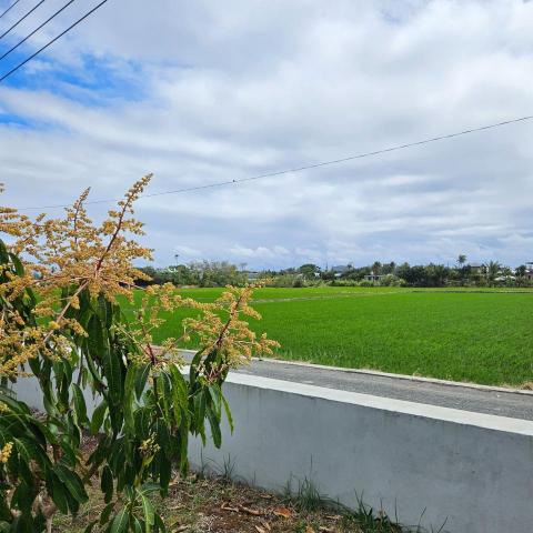 台東市電路學家教推薦游潔心