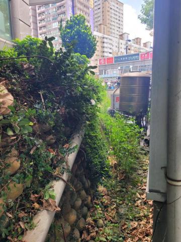 于森園藝企業社 （林先生） - 施工前