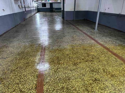 昌綺工程有限公司 - 舊地坪翻修 環氧樹脂  中塗