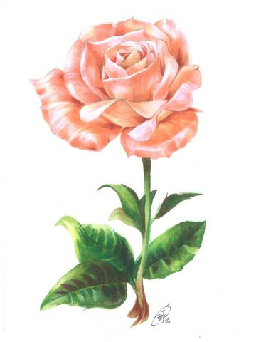 張宜璇 - 麥克筆作品_02