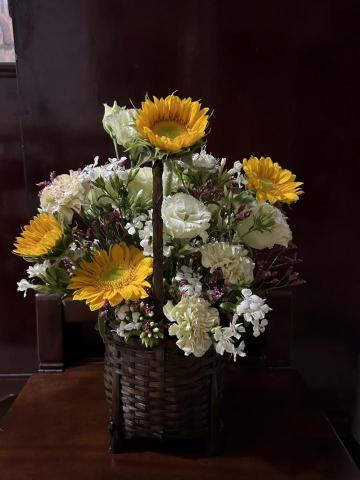 植感物語 -  植感物語 -