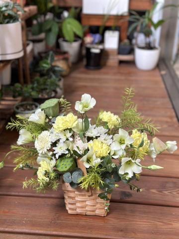 植感物語 -  植感物語 -