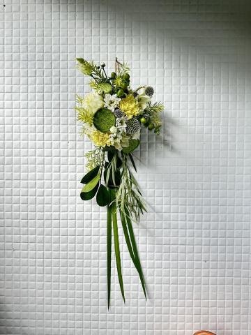 植感物語 -  植感物語 -