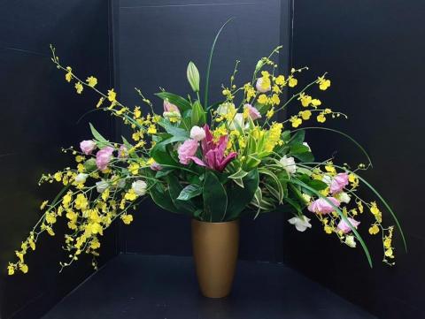 植感物語 -  植感物語 -