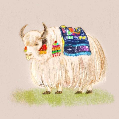 曇華 Dorje 心靈工作坊 - 西藏犛牛- 繪本插畫 曇華 Dorje 心靈工作坊 - 西藏犛牛- 繪本插畫