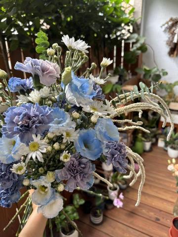 植感物語 -  植感物語 -