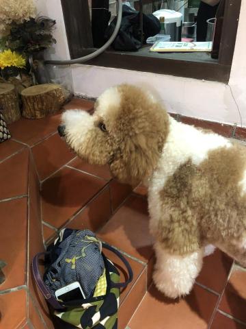 CathyKuo(凱西) - 守護者巨貴