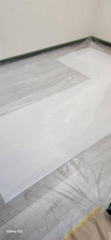 你為什麼不問問神奇海螺呢 - 新竹市，社區：金雅昕觀邸，施工前防護